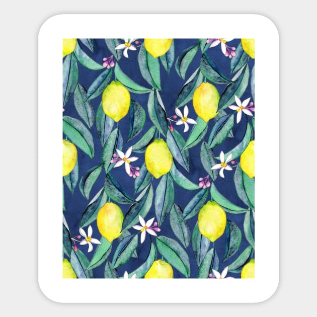 When Life Gives You Lemons - watercolor lemons on dark blue Sticker by micklyn